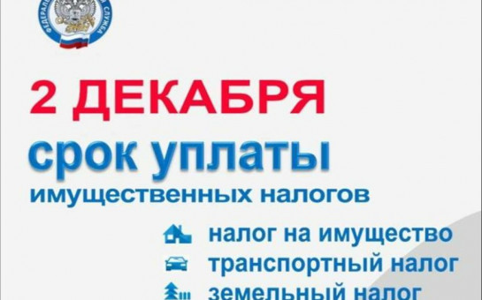 Уважаемые жители Новониколаевского сельсовета, обращаем Ваше внимание на необходимость уплаты имущественных налогов!
